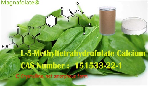 Ar L-5-metiltetrahidrofolatas ir folio rūgštis yra tas pats?