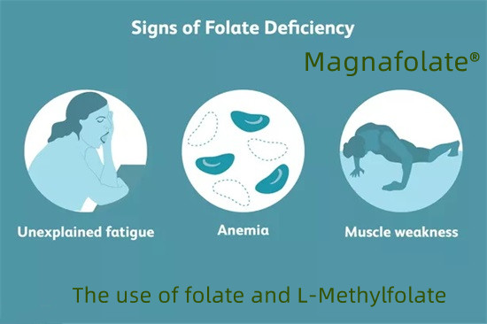 Folio rūgšties ir L-metilfolato naudojimas