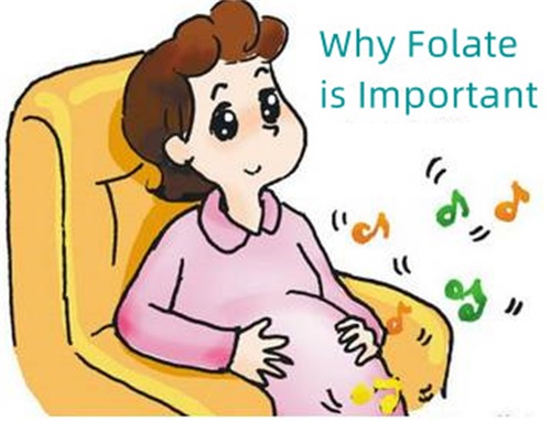 Kodėl folio rūgštis yra svarbi?