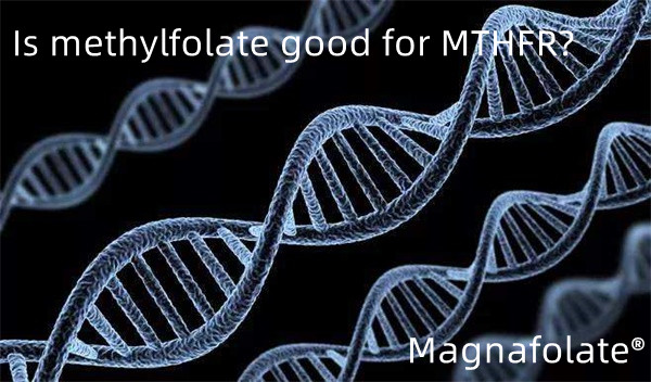 Ar metilfolatas yra geras MTHFR?