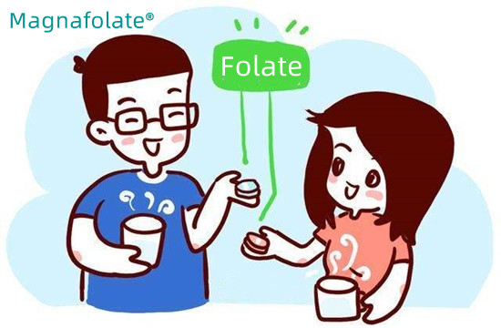 Kiek folio rūgšties reikėtų vartoti per dieną?