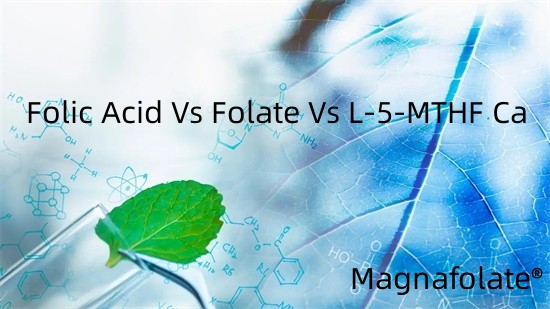 Folio rūgštis vs folio rūgštis vs L-5-MTHF Ca
