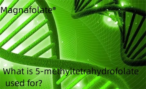 Kam naudojamas 5-metiltetrahidrofolatas?
