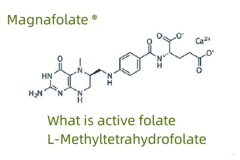 Kas yra aktyvus folatas ir L-metiltetrahidrofolatas