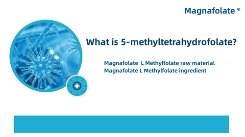 Kas yra 5-metiltetrahidrofolatas?