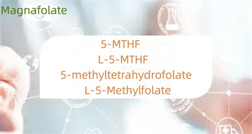 Kuo skiriasi 5-metiltetrahidrofolatas ir folatas?