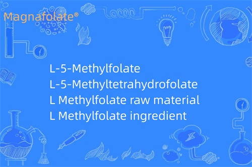 Ką veikia L metilfolatas?