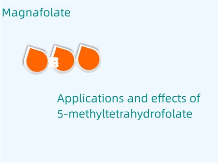 5-metiltetrahidrofolato panaudojimas ir poveikis