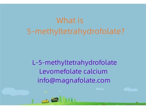 Kas yra 5-metiltetrahidrofolatas?