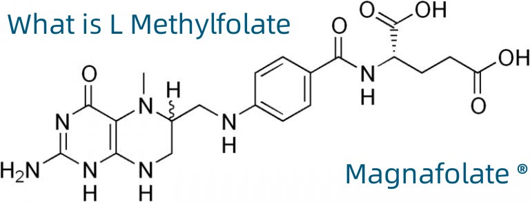 L-5-metiltetrahidrofolatas kalcio CAS Nr.:151533-22-1