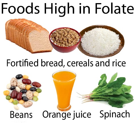 Folio rūgšties klasifikacija – dietinis folio rūgštis
