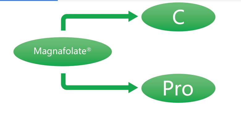 Magnafolatas C ir Pro-L-metilfolato kalcis