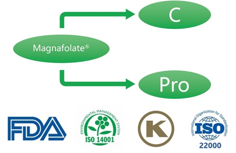 Kas yra kalcio L-5-metiltetrahidrofolatas? Kokie tiekėjai?
