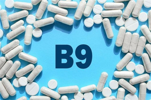 Kalcio L-5-metiltetrahidrofolato – magnafolato vaidmuo