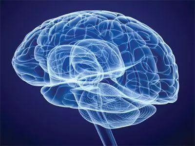 Folio rūgštis saugo nervų sistemą ir apsaugo nuo demencijos bei Parkinsono ligos