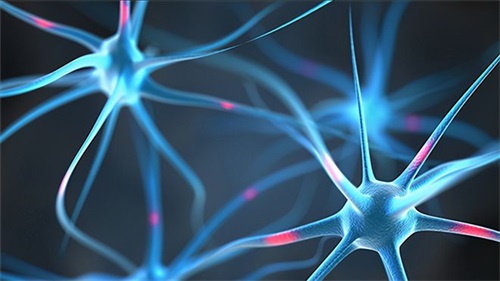 Kodėl folio trūkumas gali sukelti neurologinių problemų